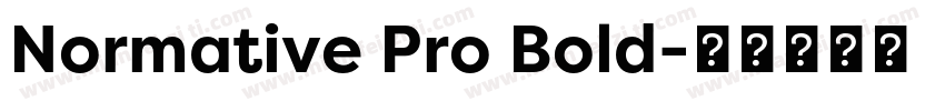 Normative Pro Bold字体转换